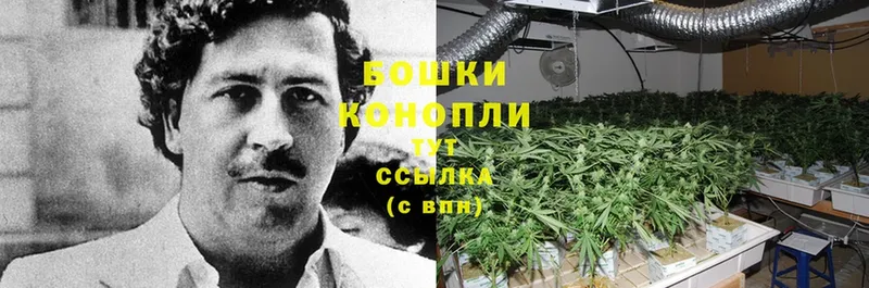 МАРИХУАНА White Widow  как найти закладки  Новошахтинск 